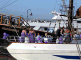 Paphos Hafen 2